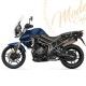 TRIUMPH TIGER 800 - Juego de Llantas de Radios KINEO Wheels