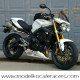 Tapa de Colín Fibra para Triumph Speed Triple 2005-10