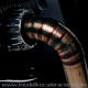 Complete Exhaust Titanium BMW R18 - Unit Garage