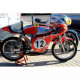 Fiber Kit for Replica Derbi Carreras Client 50cc