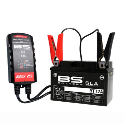 BS BATTERY BS15 battery charger