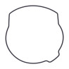 OEM Alternator Cover Gasket