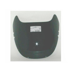 Pantalla Transparente Yamaha FZR 600 Genesis 1989-90