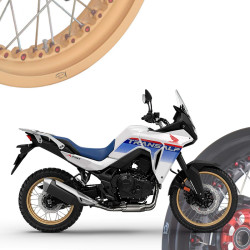 BMW R1250R - Spoked Rims Wheels KINEO Wheels