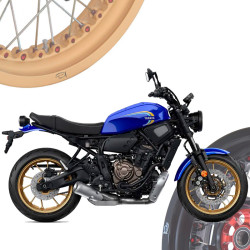 BMW R1250R - Spoked Rims Wheels KINEO Wheels