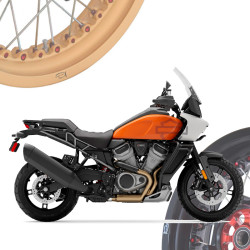 BMW R1250R - Spoked Rims Wheels KINEO Wheels