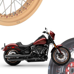 BMW R1250R - Spoked Rims Wheels KINEO Wheels