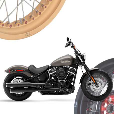 BMW R1250R - Spoked Rims Wheels KINEO Wheels