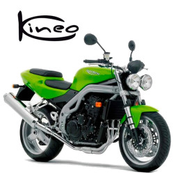 TRIUMPH SPEED TRIPLE 955 2002-04 Llantas de Radios KINEO