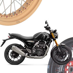 BMW R1250R - Spoked Rims Wheels KINEO Wheels