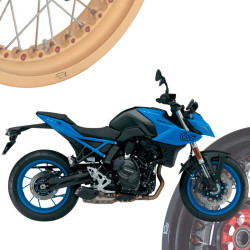 BMW R1250R - Spoked Rims Wheels KINEO Wheels