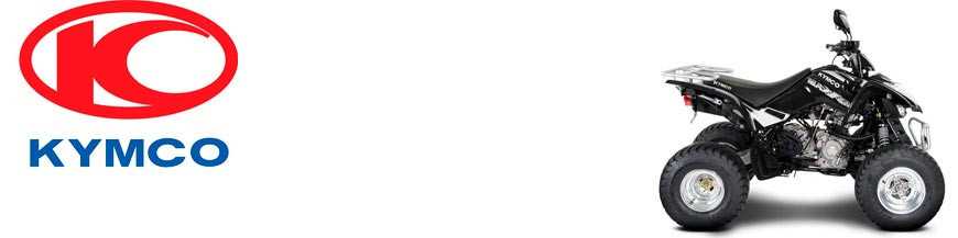 Maxxer 250 2008-2017 Maxxer 250 2008-2017