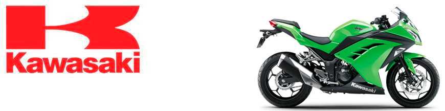 Ninja 250 SL 2015-17