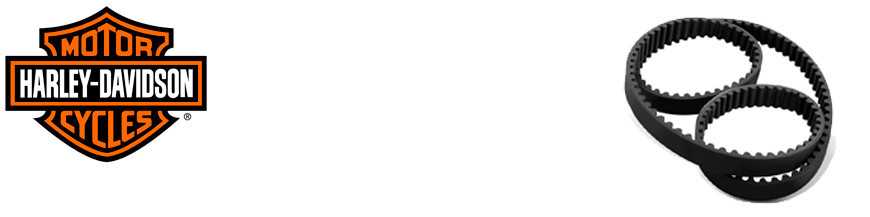 Correas Dentadas Correas Dentadas