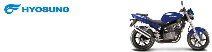 GT 250 2004-2017 GT 250 2004-2017