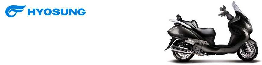 MS3 250 F i 2007-2009