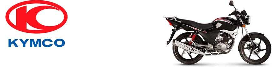 Pulsar 125 2001-2015