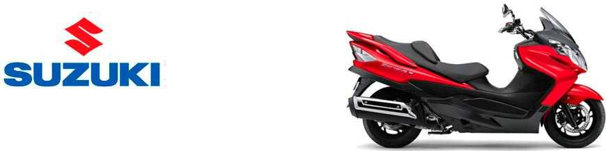 AN 250 Burgman 1998-2006