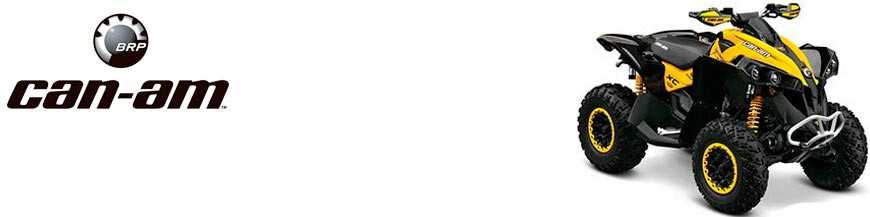 Renegade 800 R 2010-2015