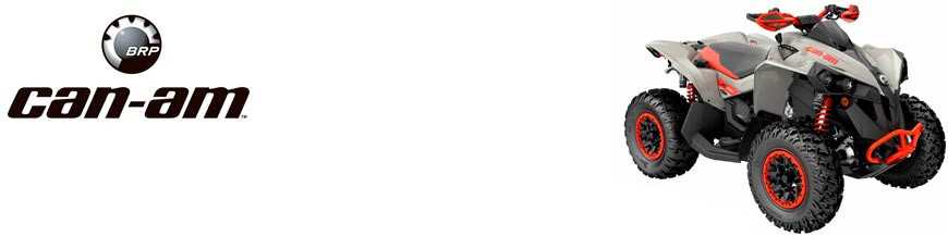 Renegade 1000 R 2013-