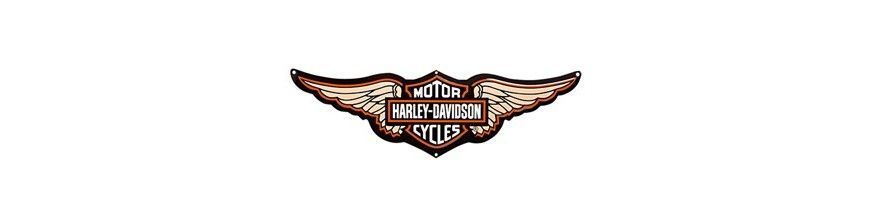 Harley Davidson Spark