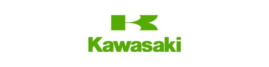 Kawasaki Spark